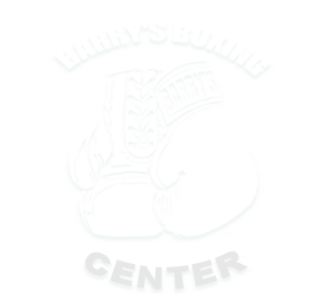 footer-boxing-logo