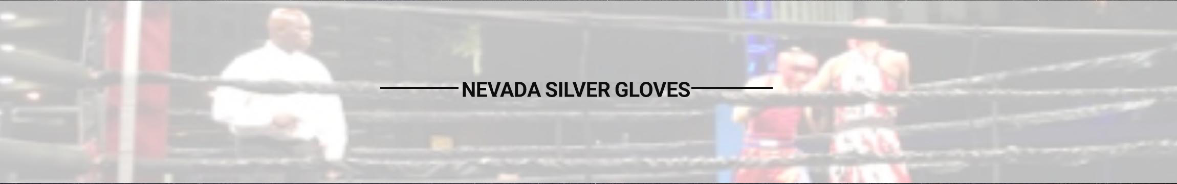 boxing-nevada-silver-header